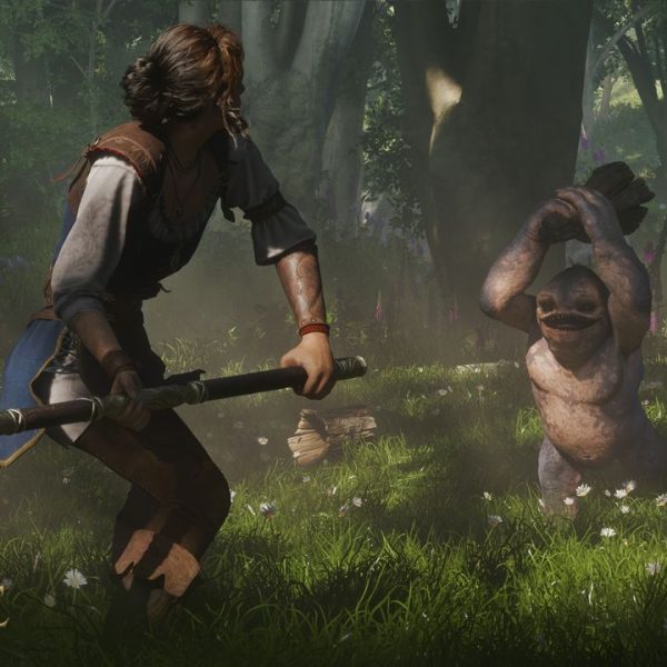Fable : vers une énième catastrophe ?