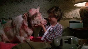 Lire la suite à propos de l’article Les animaux ont-ils une âme ?