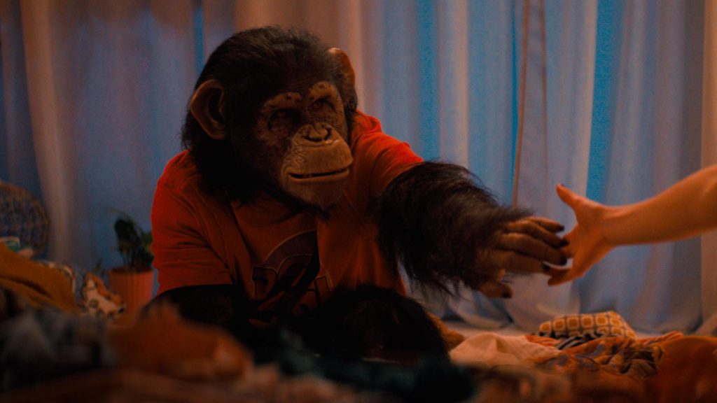 primate