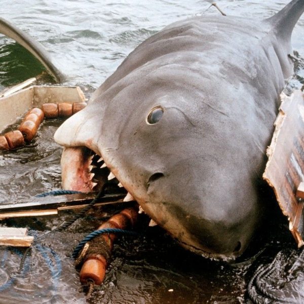 les-dents-de-la-mer-voici-une-liste-de-films-avec-des-animaux-tueurs