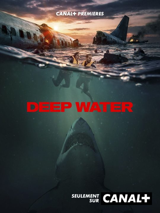 Lire la suite à propos de l’article Deep Water : Être médiocre, mais survivre