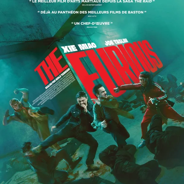 the furious affiche