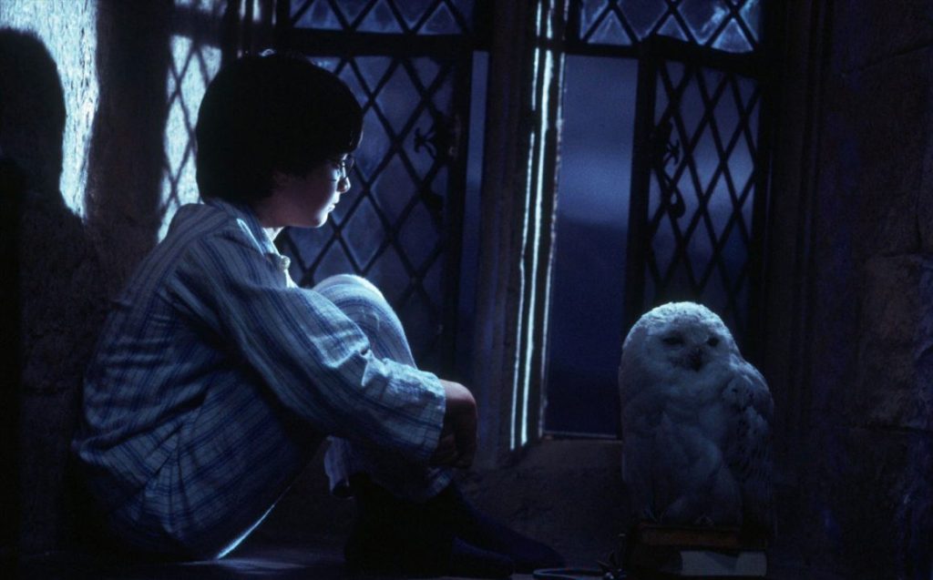 harry potter scène de la fenêtre
